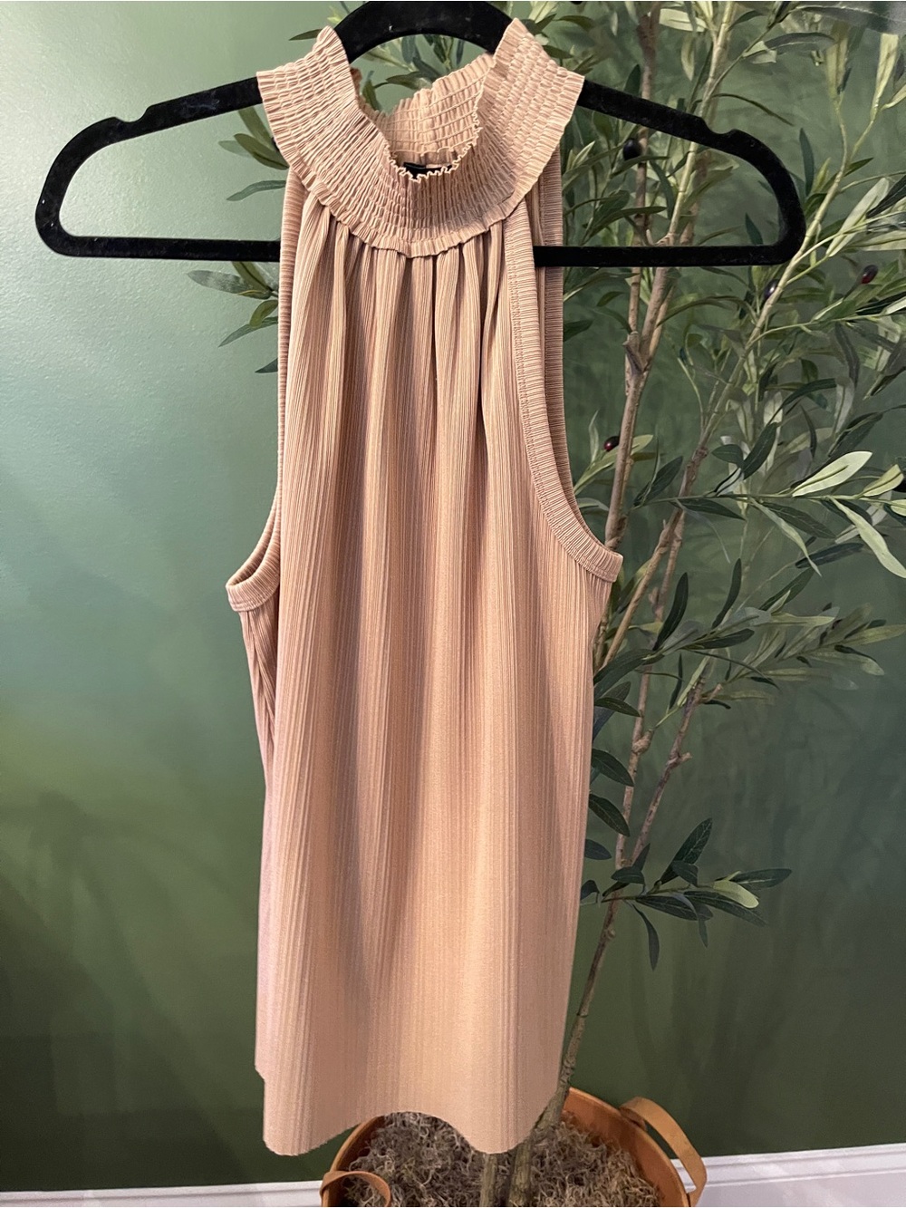 The Limited Blush Sleeveless Smocked Neck Ribbed Top